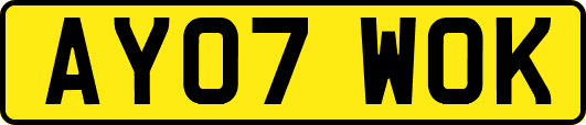 AY07WOK