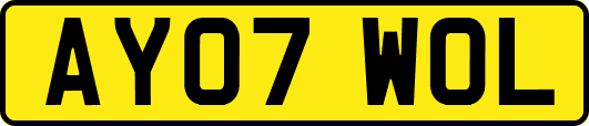 AY07WOL