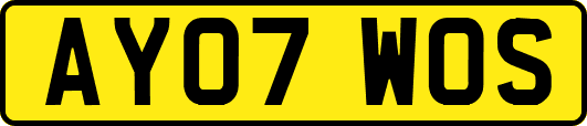 AY07WOS