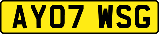 AY07WSG