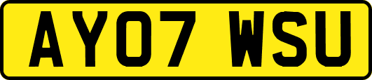 AY07WSU