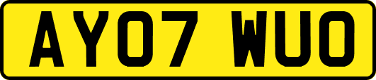 AY07WUO
