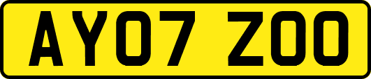 AY07ZOO