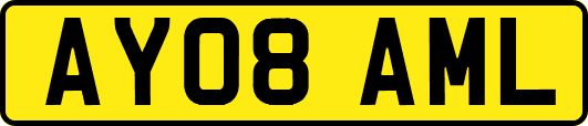 AY08AML