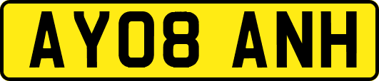 AY08ANH