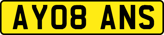 AY08ANS