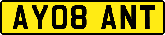AY08ANT