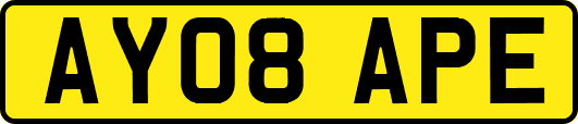 AY08APE