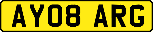 AY08ARG