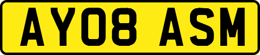 AY08ASM
