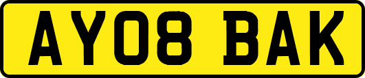 AY08BAK