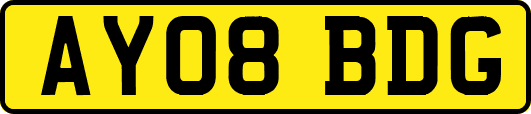 AY08BDG