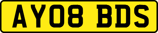 AY08BDS