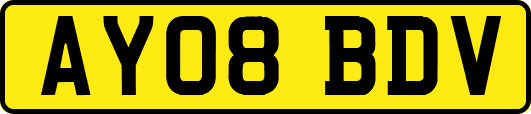 AY08BDV