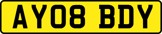 AY08BDY