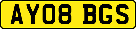 AY08BGS