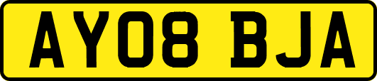 AY08BJA