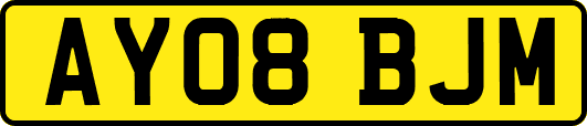AY08BJM