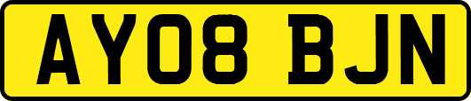 AY08BJN