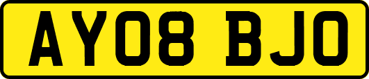 AY08BJO