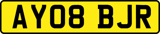 AY08BJR