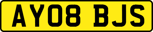 AY08BJS