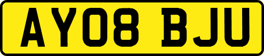 AY08BJU