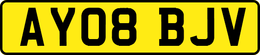 AY08BJV