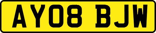 AY08BJW