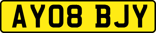 AY08BJY