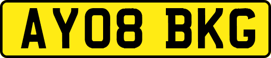 AY08BKG