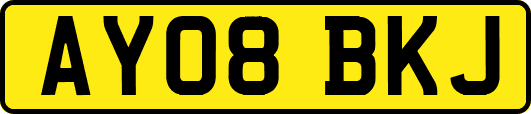 AY08BKJ