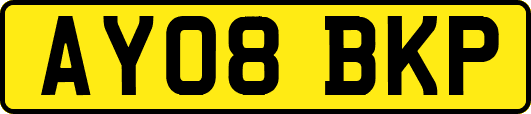 AY08BKP