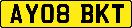 AY08BKT