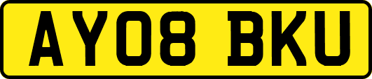 AY08BKU