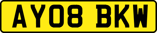 AY08BKW