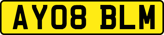 AY08BLM