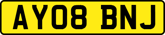 AY08BNJ