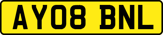 AY08BNL