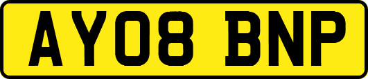 AY08BNP