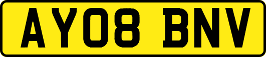AY08BNV