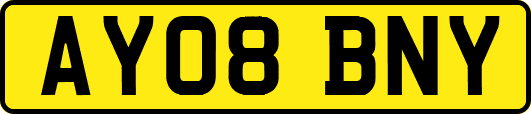AY08BNY