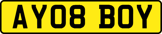 AY08BOY