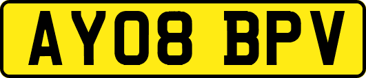 AY08BPV