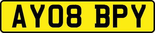 AY08BPY