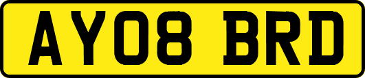 AY08BRD
