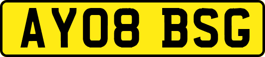 AY08BSG