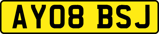 AY08BSJ