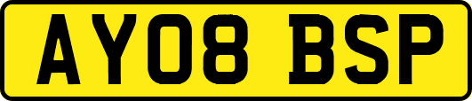 AY08BSP