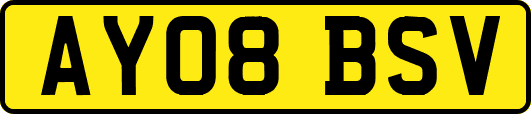 AY08BSV